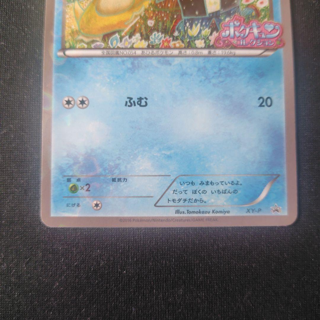 ポケカ コダック ポケキュン 1枚 XY-P