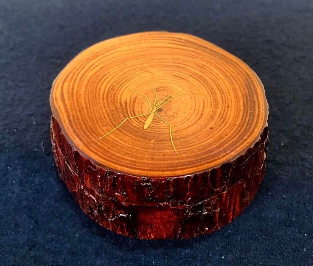 【美品】「母」アメンボ 水面 蒔絵 松材 香合 道場 宗廣 共箱(122A⑤)