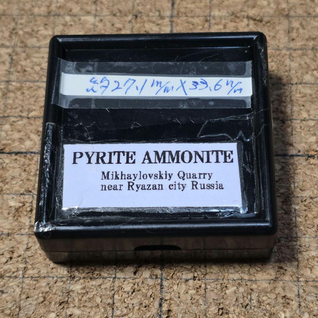 パイライトアンモナイト 標本ケース付き