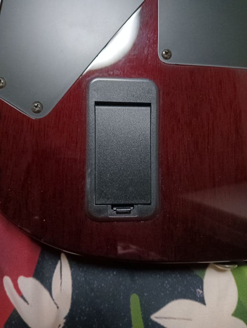 Schecter ヘルレイザー AD-C-1-FR-HR EMG搭載