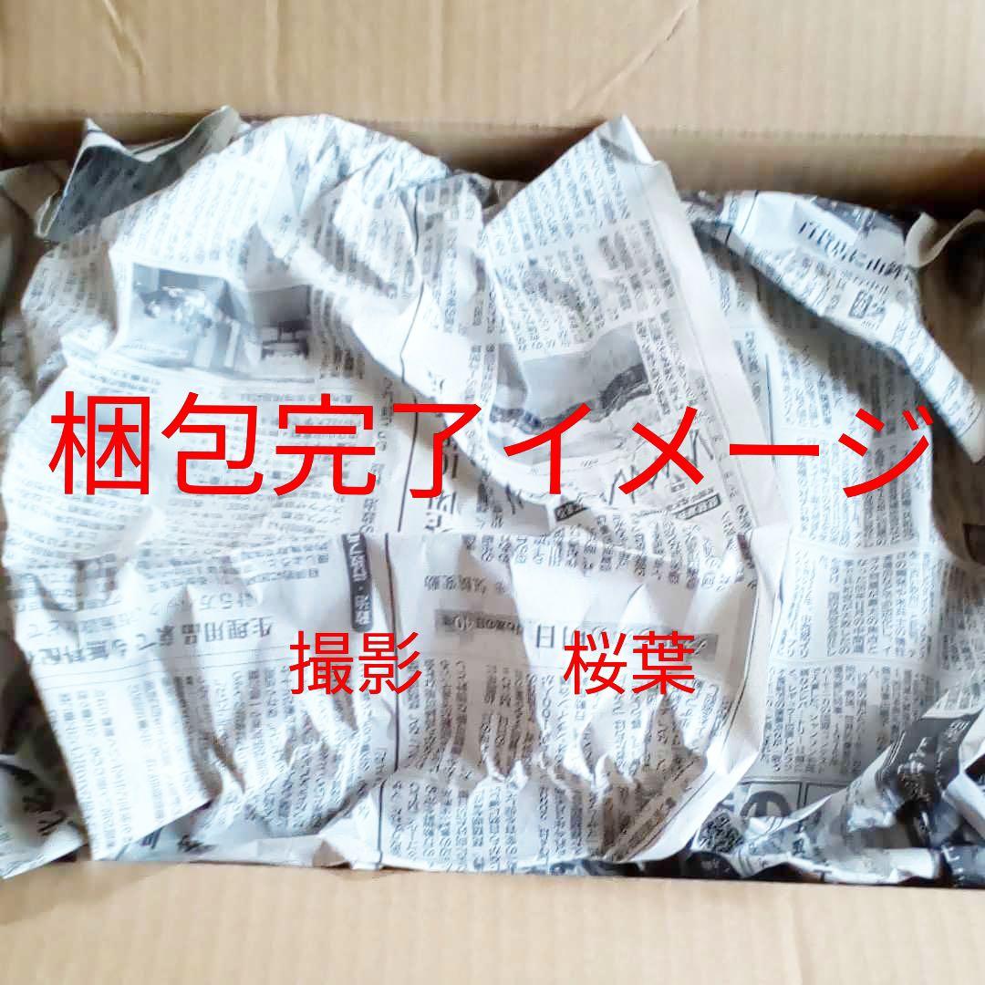 ガンプラ mg プロヴィデンスガンダム スペシャルコーティング 未組立