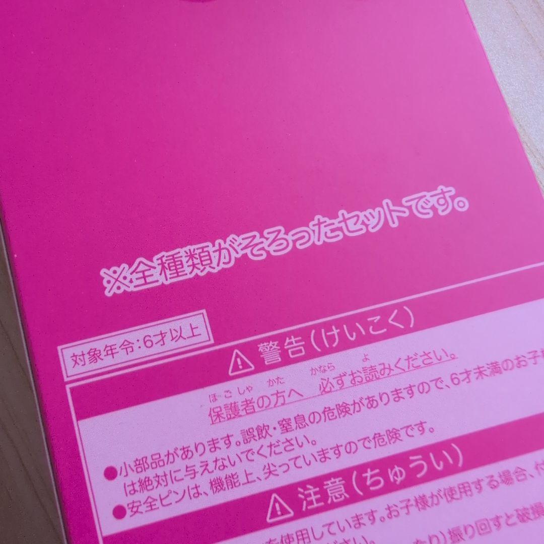 ミニーのファンダーランドパルパルーザ2026ワッペンアクセサリー全種 ディズニー