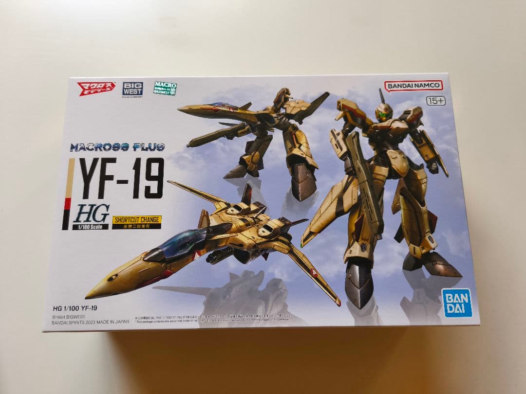 カ*タ様 ガンプラ！レアセット（RG＆HG・νガンダム、サザビー、YF-19他）