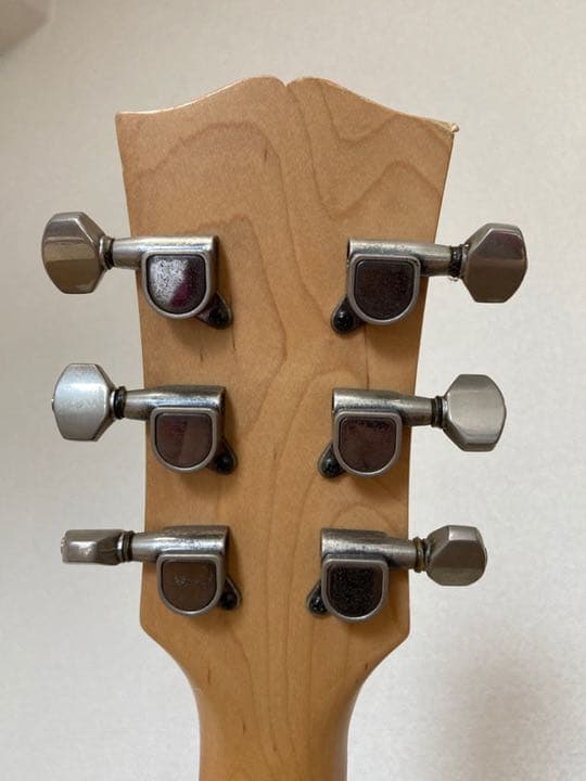 ステージ映え！視線を集める、ミックスカラーデコレーションギター