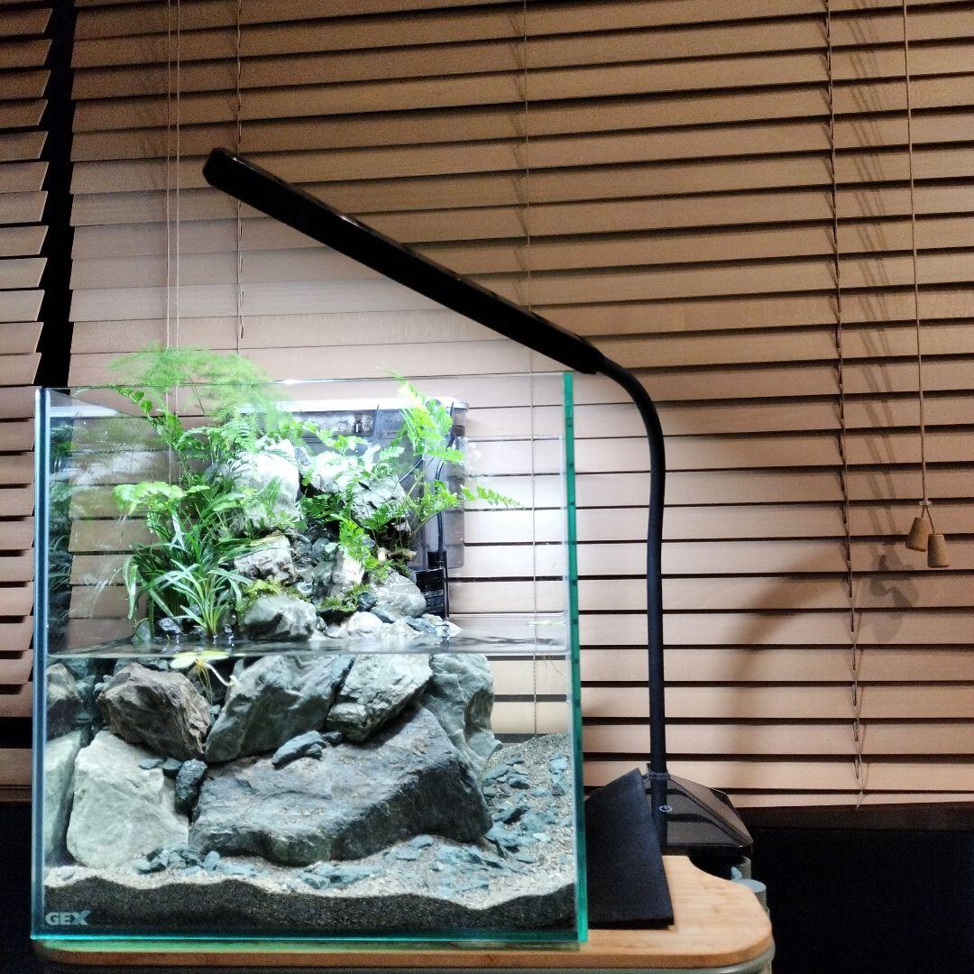 【アクアテラリウム完成品】渓流アクアリウム＋テラリウム30cmキューブ水槽