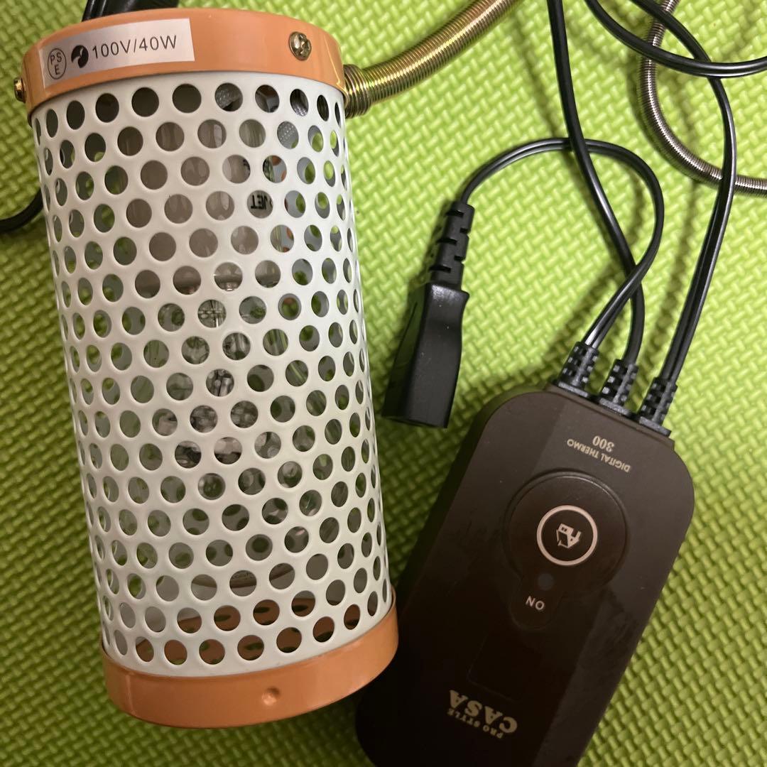 ＨＯＥＩ465 手乗り　まとめ売り