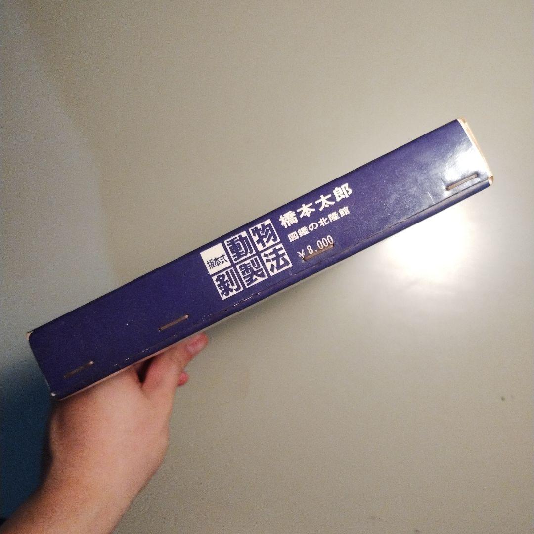 坂本式動物剥製法 橋本太郎