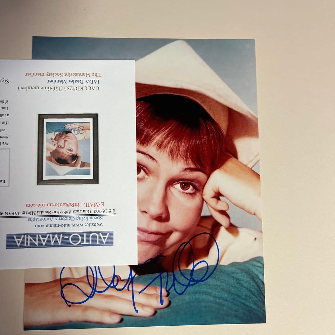 84   サリーフィールド　いたずら天使