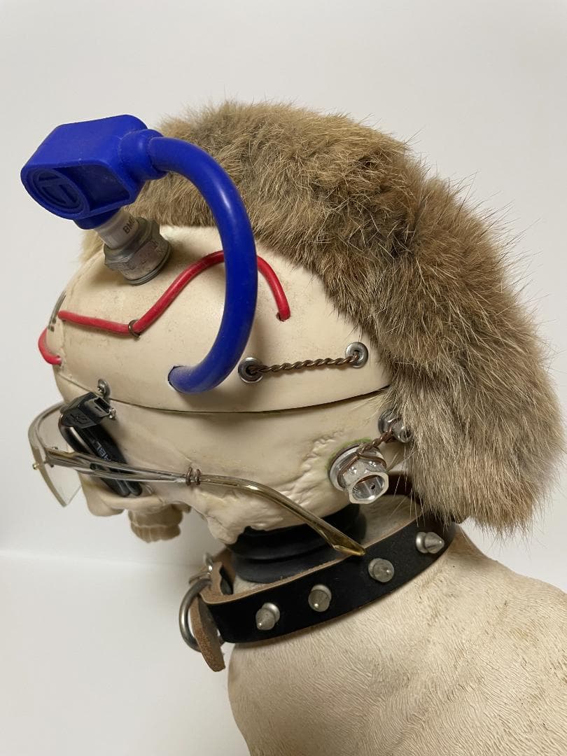 takayasu.k　世田谷ベース アンダーリペアドッグ 初期バージョン