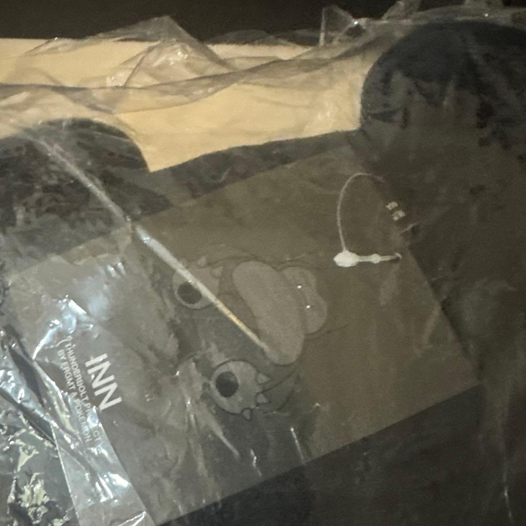 【新品】タグ付き　サンダーボルトプロジェクト　フラグメント　カビゴン　　L