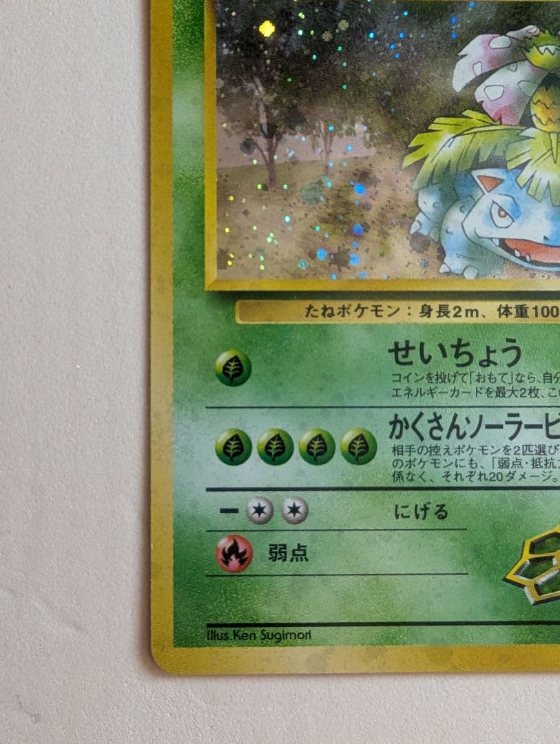 エリカのフシギバナ 旧裏