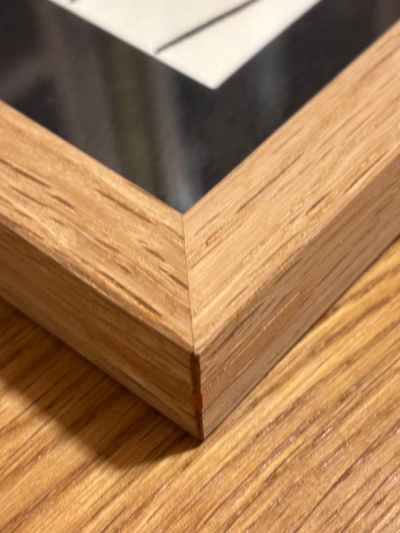 山口一郎 原画　（フレーム込）ゾウ