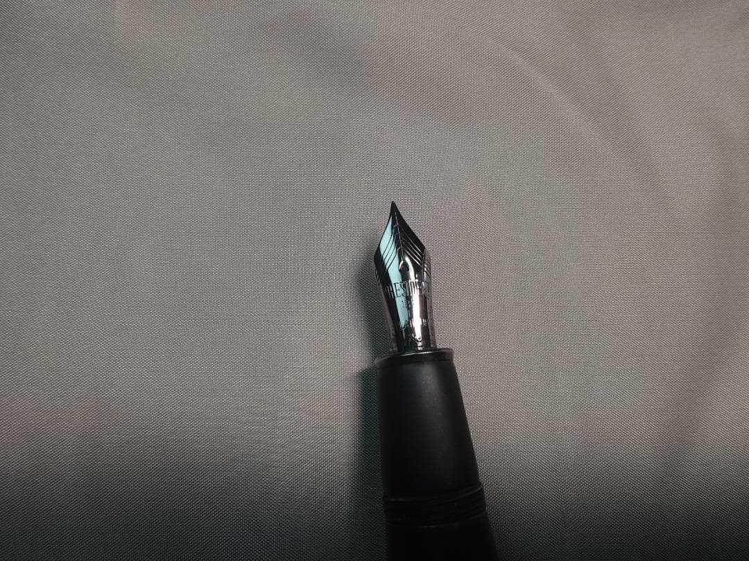 PLATINUM プラチナ万年筆 出雲 漆黒 竹林群虎図 F細字