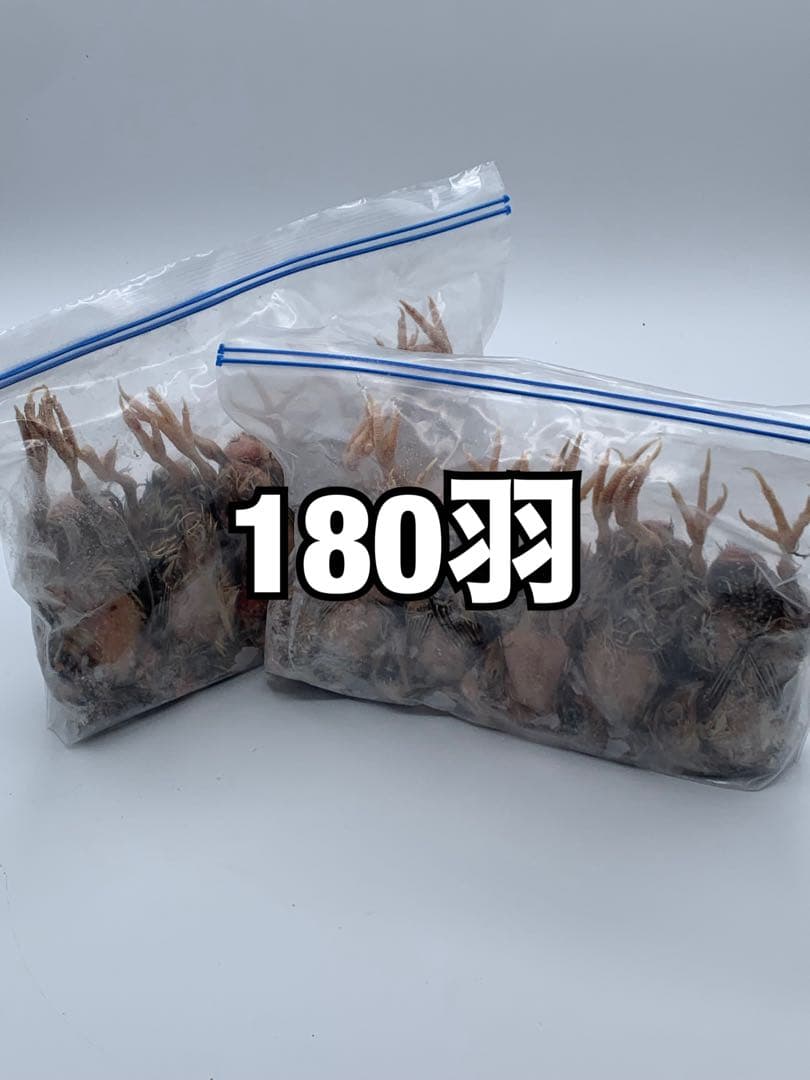 冷凍うずら（180羽）【送料込】