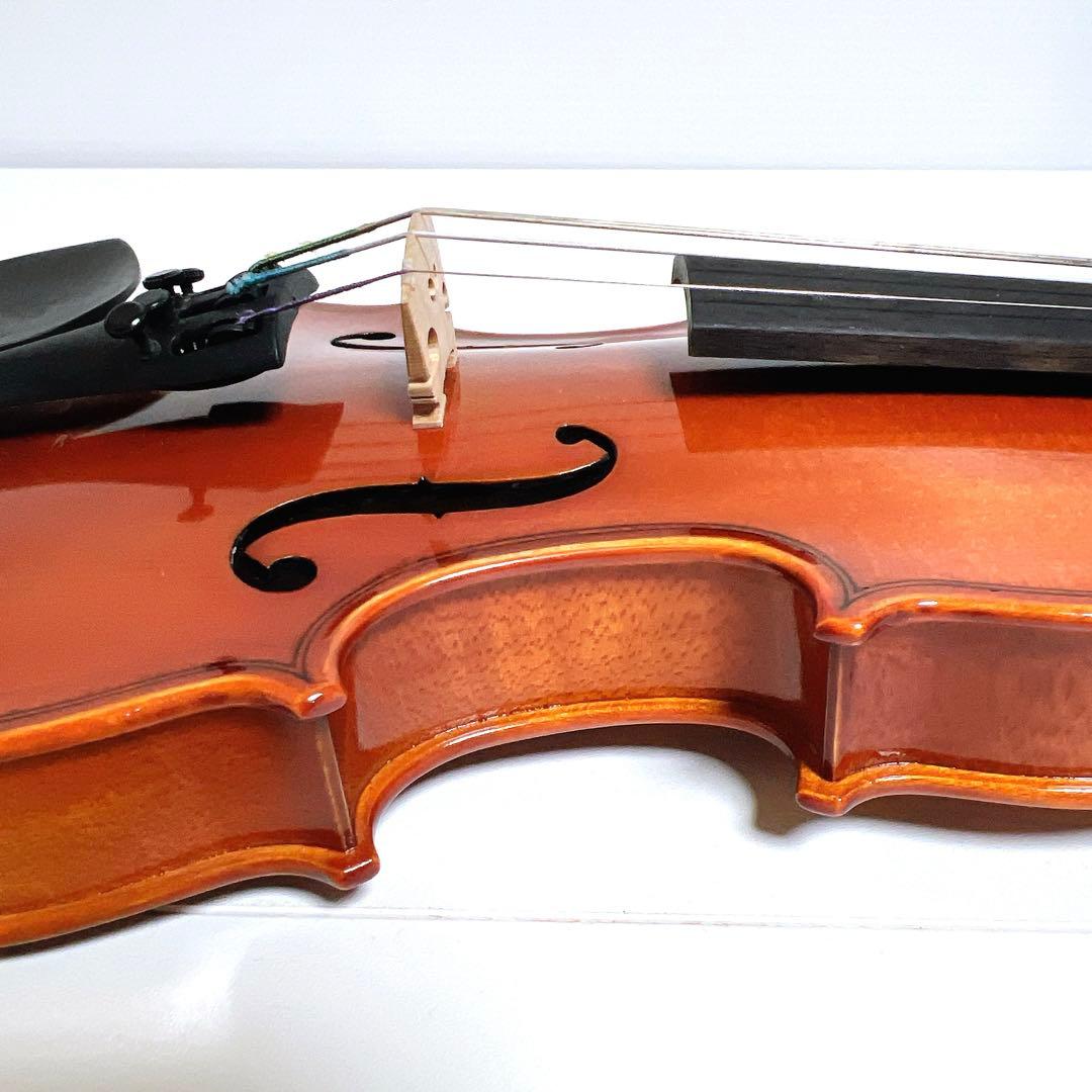 【美品】Andreas Eastman VL80 1/10 イーストマン