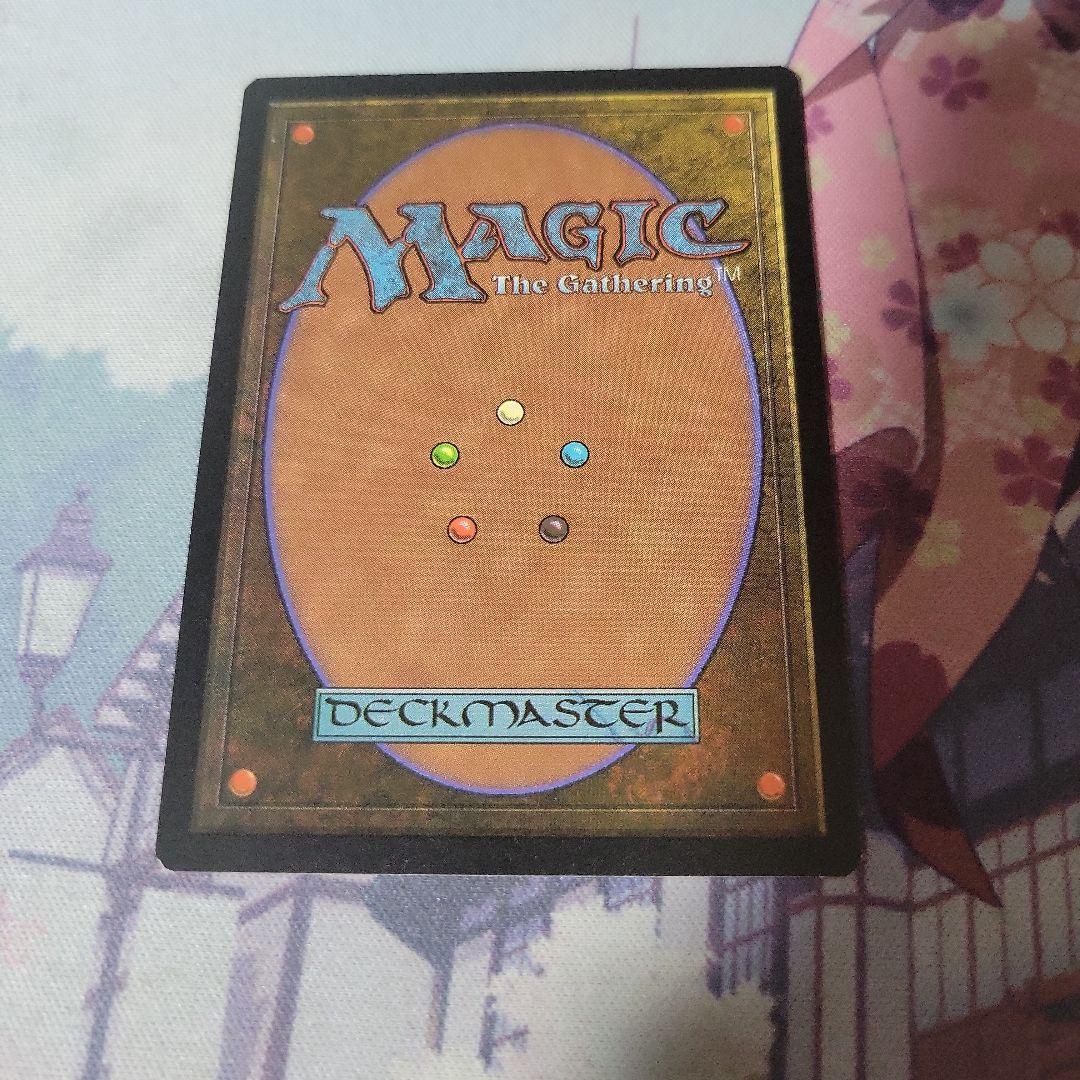 MTG サバンナ・ライオン 韓国語