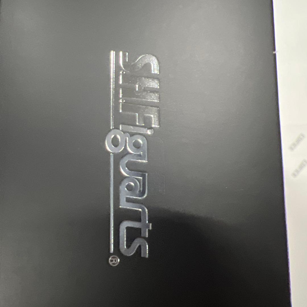 真骨彫製法　S.H.Figuarts 仮面ライダー龍騎