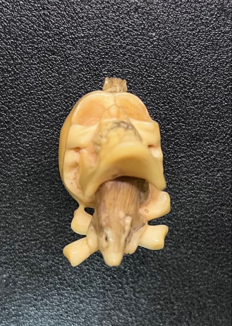 激レア！骸骨根付け 鼠 骨製 スカル 髑髏 時代物 アンティーク 古山 ボーン