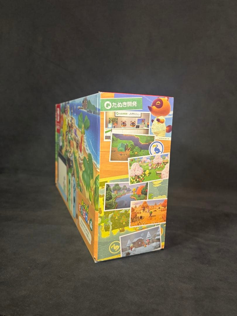 【南国リゾカジ大家さん】Switch あつ森セット 未使用