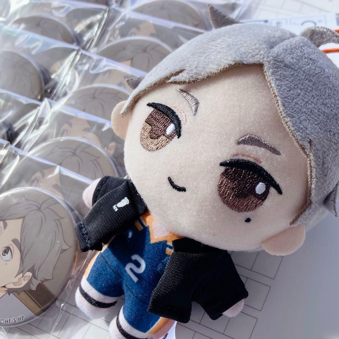 ハイキュー 菅原孝支 缶バッジ ぬいぐるみ セット