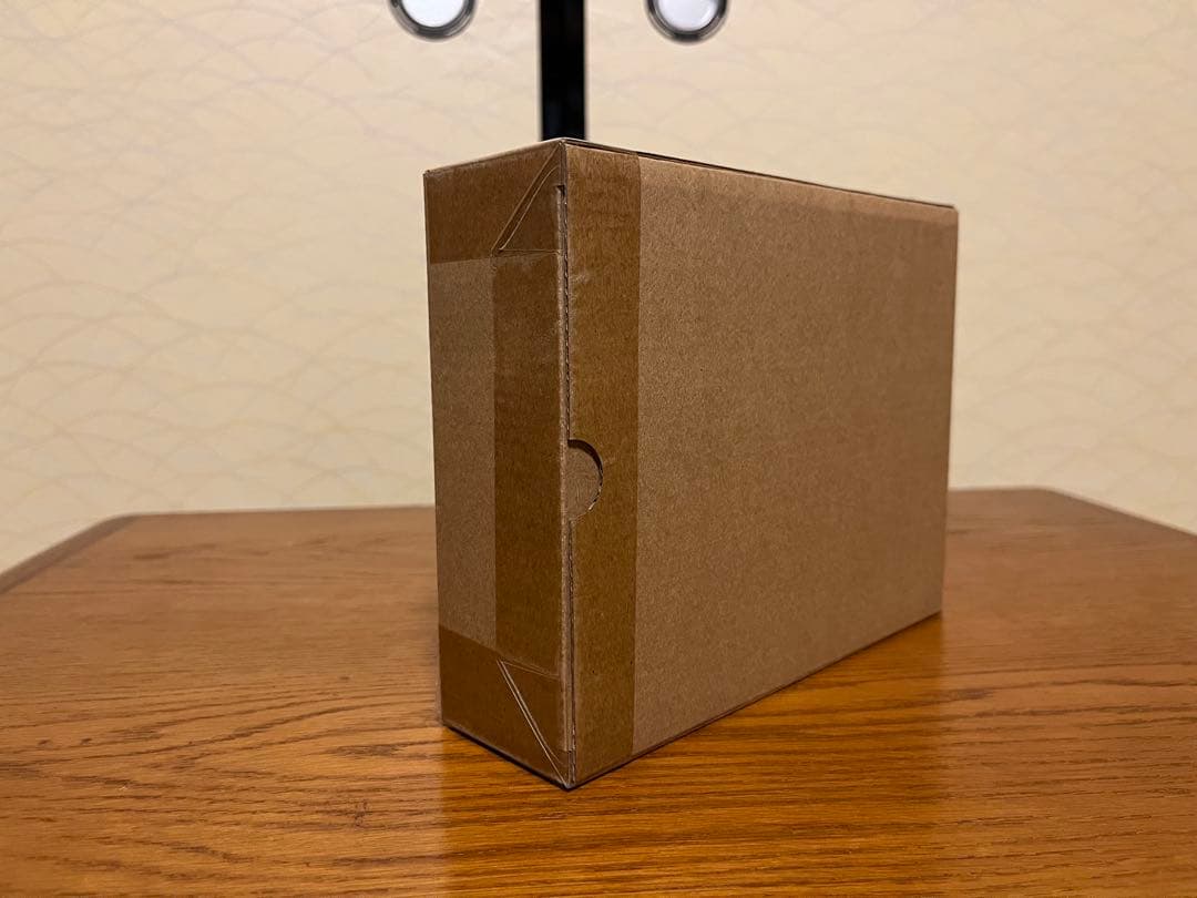 ポケモンスケールワールド カントー地方 マチス＆レアコイル&エレブー