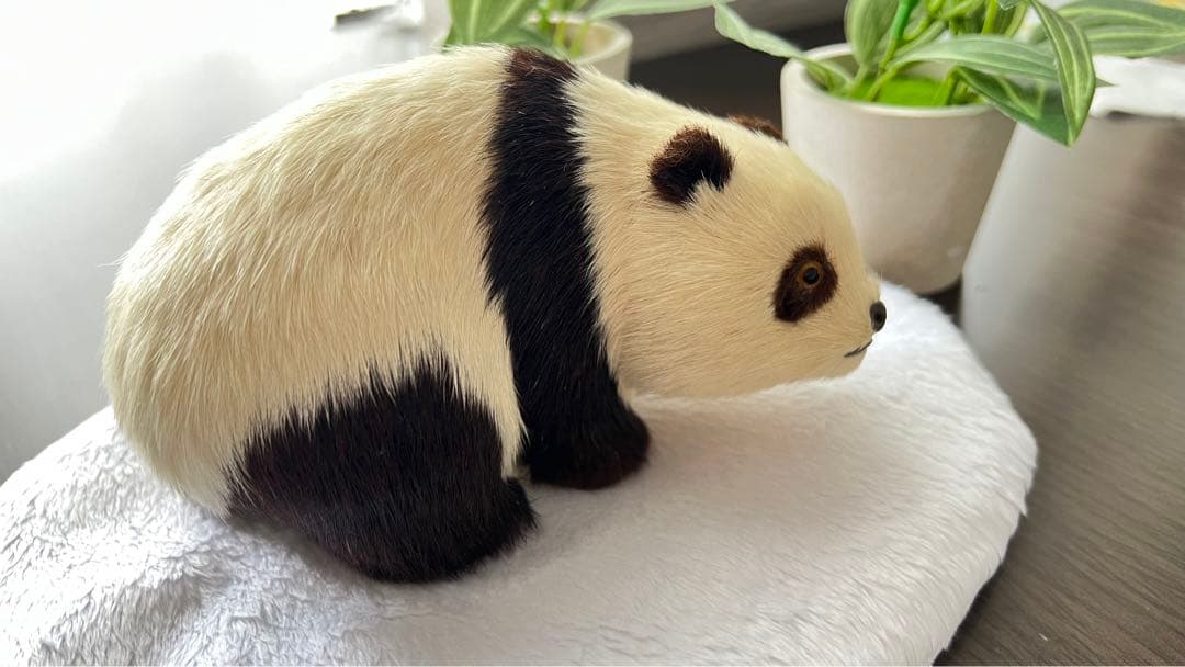 パンダ　本物の様！毛並みが可愛いです！オブジェ　置き物　インテリア