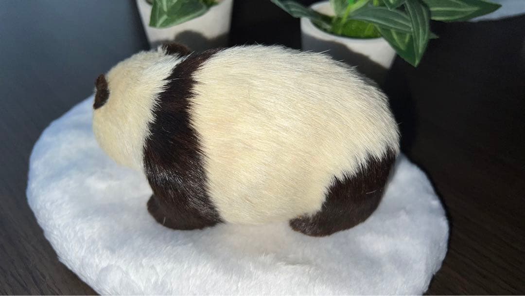 パンダ　本物の様！毛並みが可愛いです！オブジェ　置き物　インテリア
