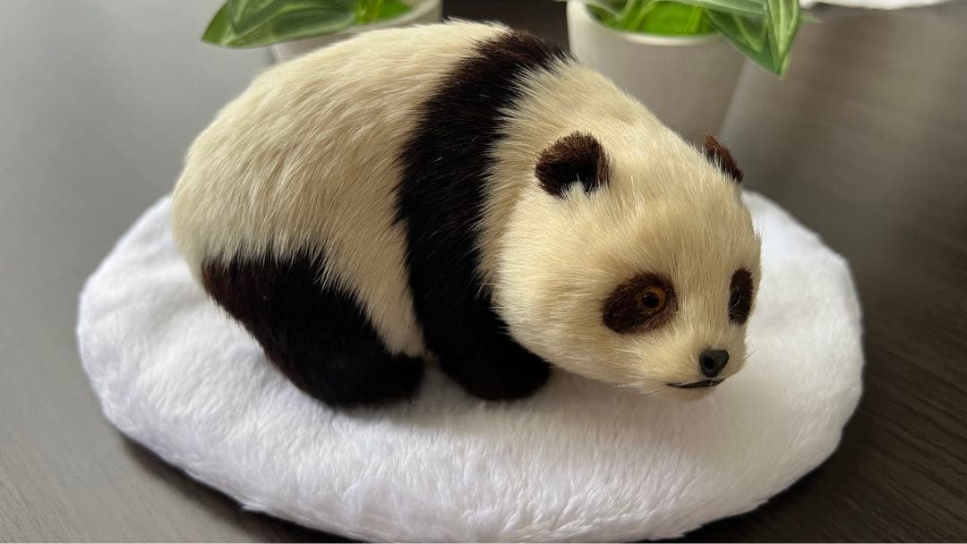 パンダ　本物の様！毛並みが可愛いです！オブジェ　置き物　インテリア