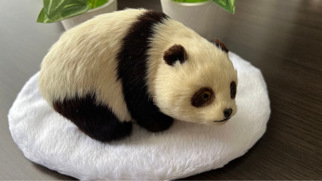 パンダ　本物の様！毛並みが可愛いです！オブジェ　置き物　インテリア