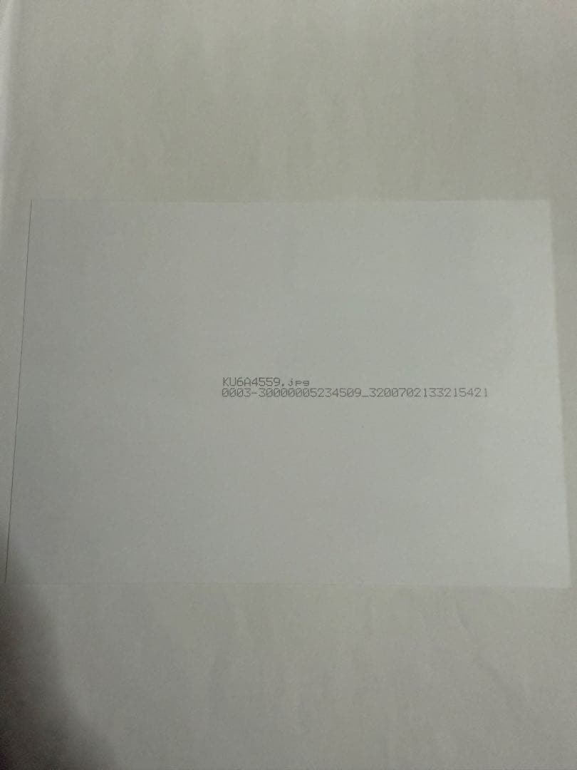 天羽希純大判生写真【イベント限定特典品】【非売品】【最終在庫1点限り】匿名配送