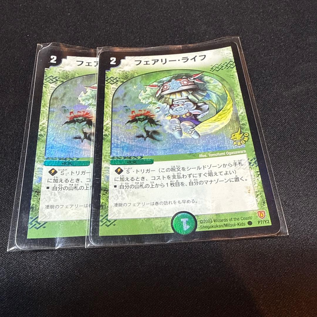 フェアリーライフ　初期プロモ