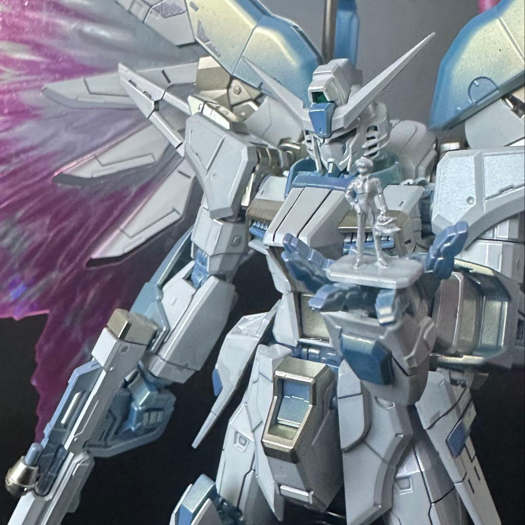 RGデスティニーガンダム　チタニウムフィニッシュ トワイライトコーティング風