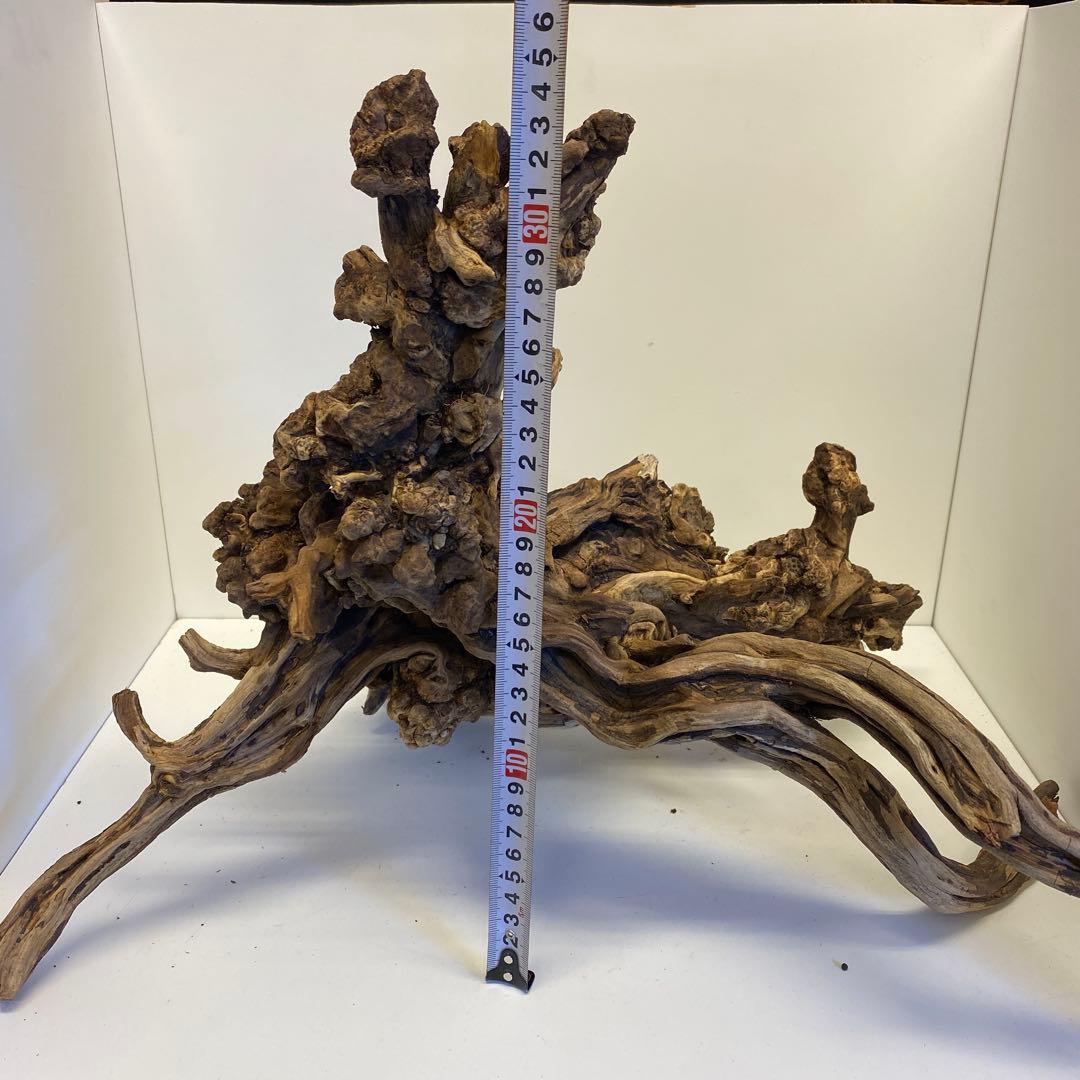 MSRW-6734 天然流木1点物　スリムウッド　アクアリウム