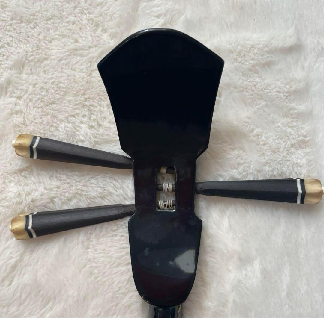 沖縄三線 2wayセミハードケース付き 人工皮 蛇柄 民族楽器　琉球楽器