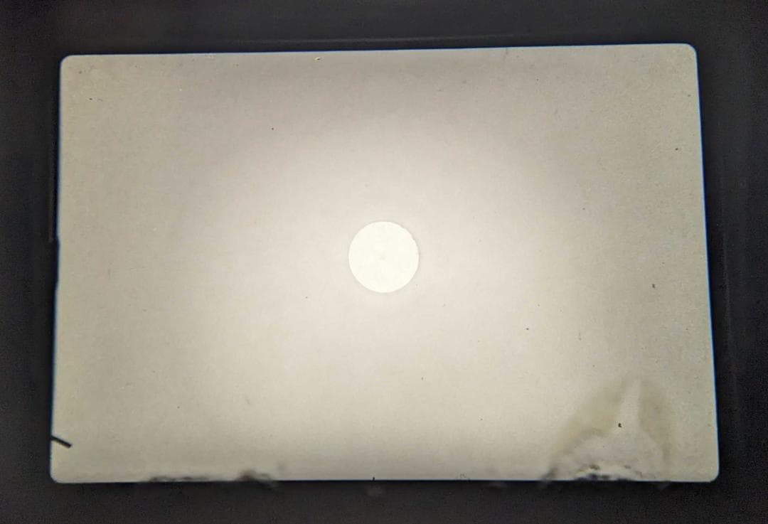 フィルムカメラ OLYMPUS OM-2N + 50mm f/1.8 + 200mm f/4