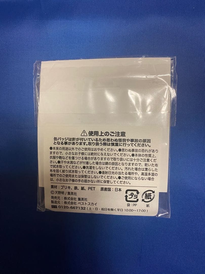 六道骸 クローム 家庭教師ヒットマンREBORN JF ジャンフェス 缶バッジ
