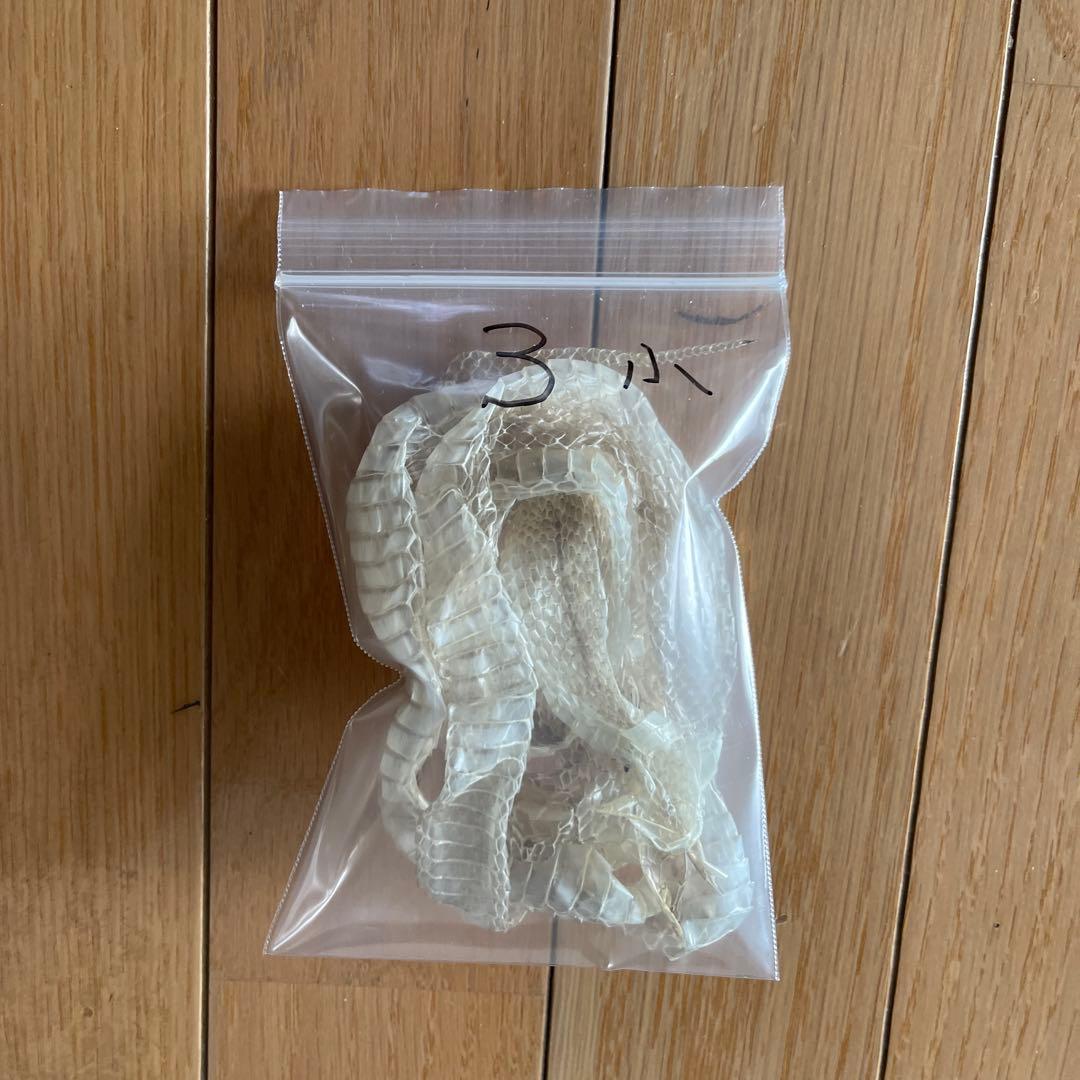 蛇　脱け殻約90cm