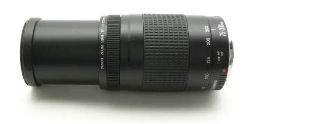 大望遠レンズ/大迫力の300㎜キヤノン/Canon EF75-300 II