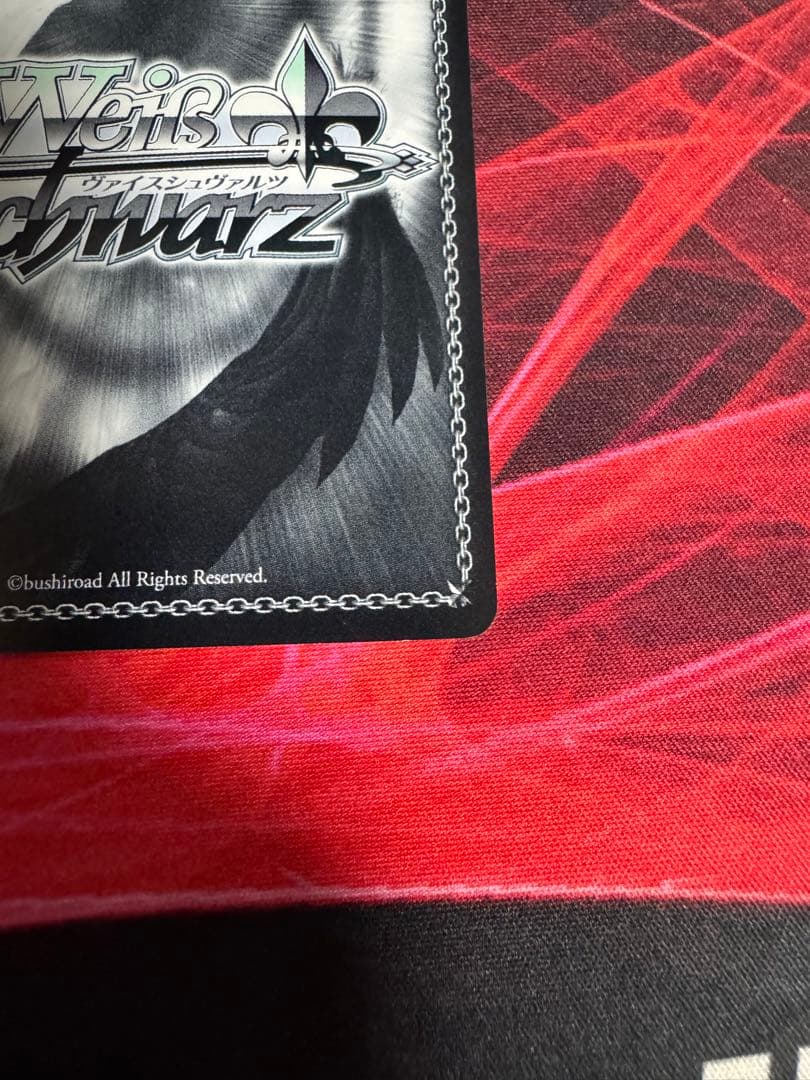 夏の思い出　鴎　SP ヴァイスシュヴァルツ