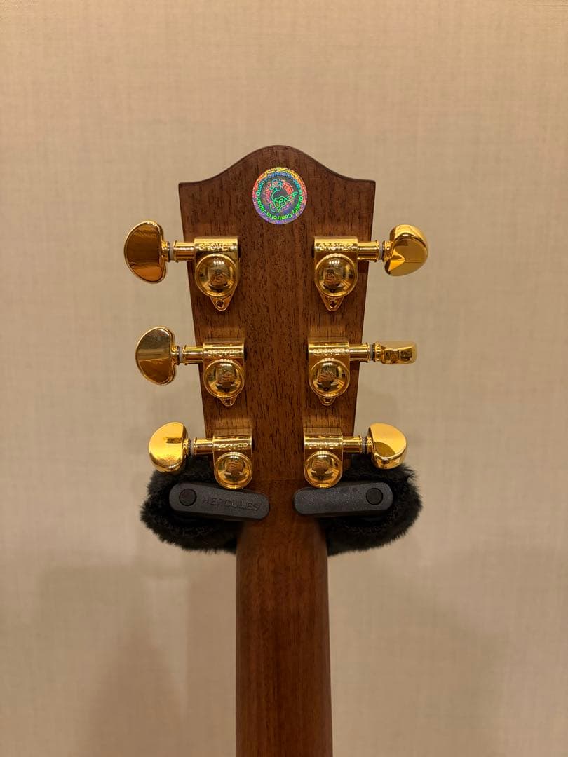 ギター Headway HOC-NORTHBIRD