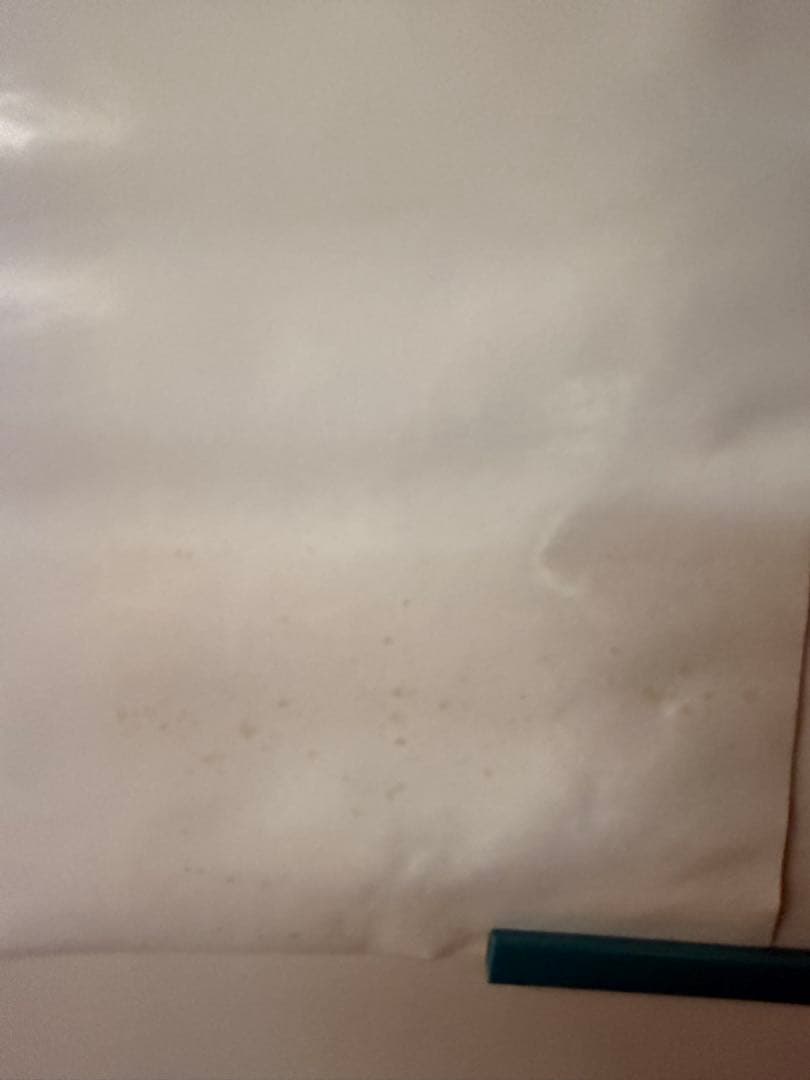 COLDPLAY VIVA LA VIDA ライブ告知ポスター