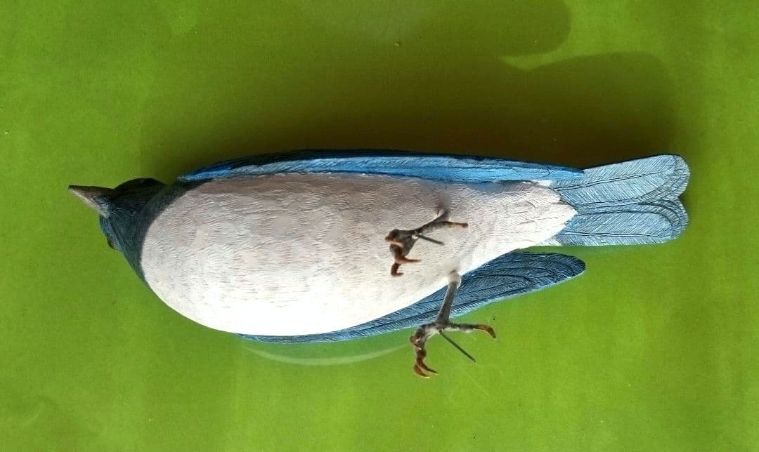 バードカービング　オオルリ