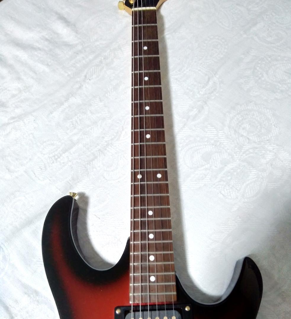 Anboy（フジゲン）AN-25 状態良好・メンテ調整済（CANARE3m付き）