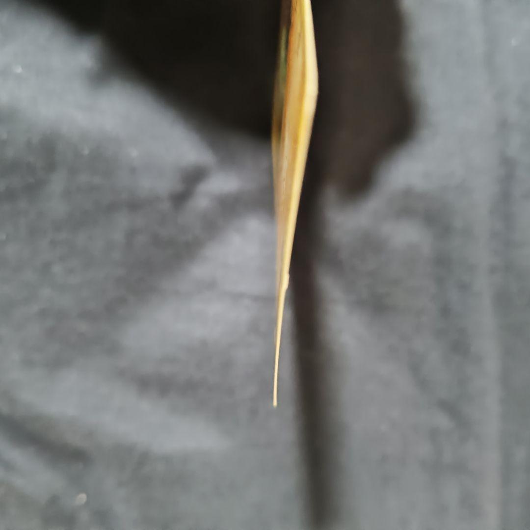 (希少品)ポケモンカード マクドナルド ヨーギラス