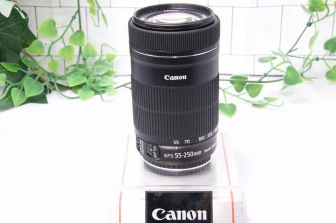 1月1日限定価格【美品】Canon EF-S 55-250mm IS STM
