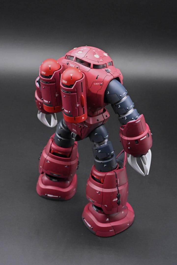 エンチョコちゃんさん専用　MG 1/100 シャア専用ズゴック 塗装完成品