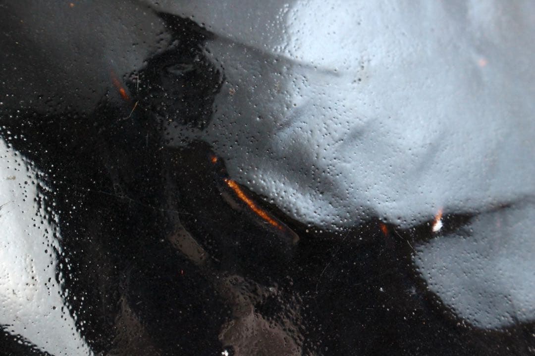 No4476 中国美術　磁州窯　黒釉葉文扁壷　木製台/木箱付　花器　送料無料