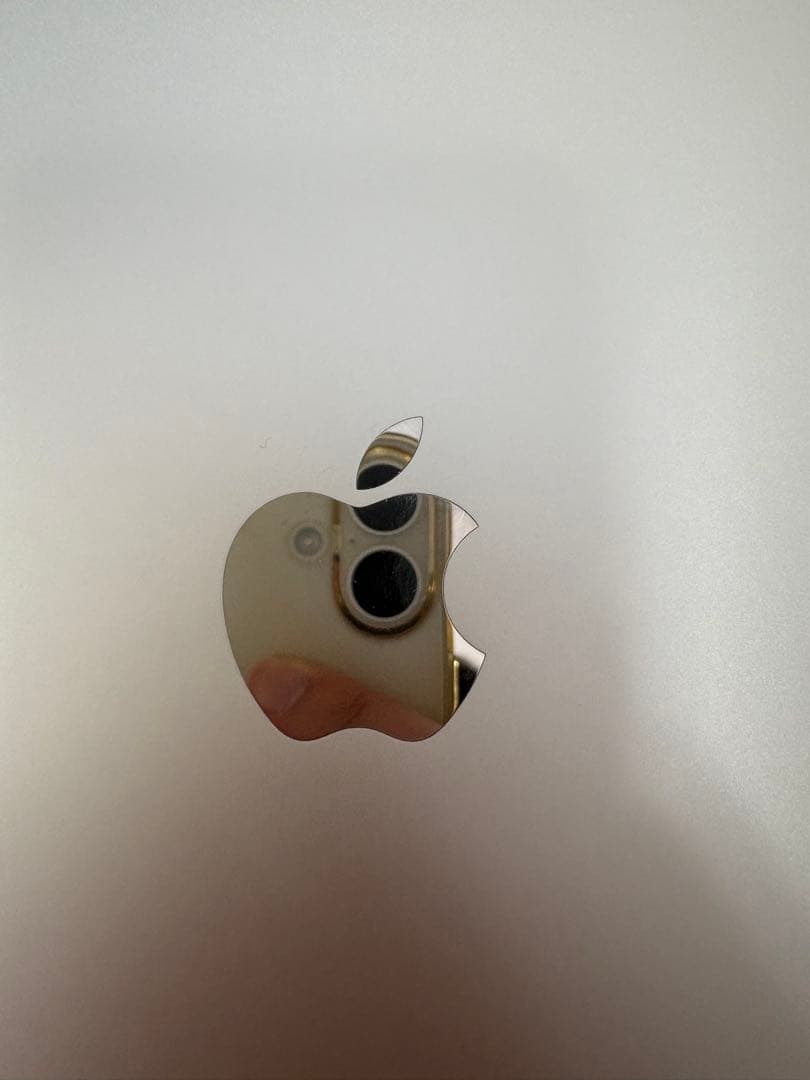 (動作確認済)Apple iPad第6世代　32GB セルラーモデル