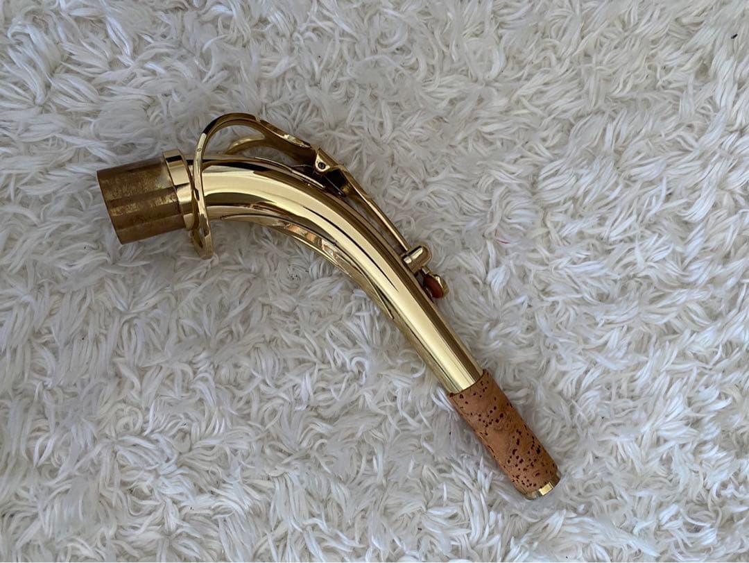 美品！ SELVAセルバ　サックス 管楽器 ケース付 彫刻