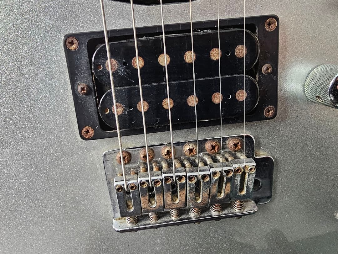 江*彰様 Ibanez RG シルバー エレキギター 社外ソフトケース付き